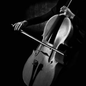Cello musician