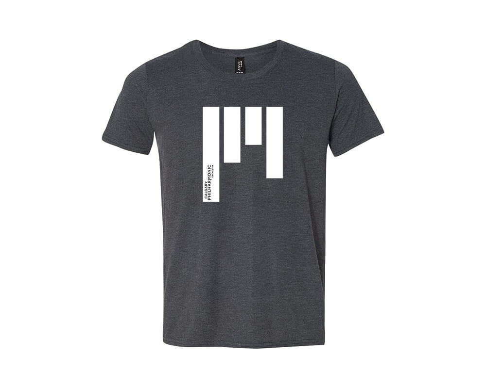 Icon(ic) T-shirt Grey (Adult Large)